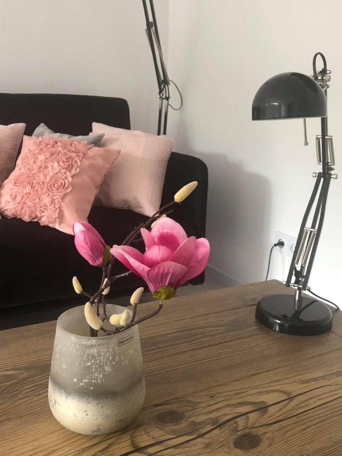 Apartament Matejki II - Unique Apartments شتشيتسين المظهر الخارجي الصورة